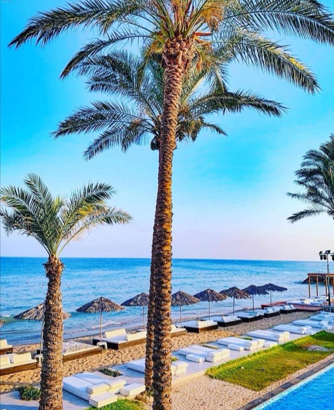 Jhotelresorts Damour Esterno foto